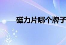 磁力片哪个牌子的质量好（磁力片）
