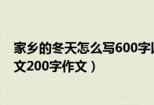 家乡的冬天怎么写600字以上（家乡的冬天要怎么写这篇作文200字作文）