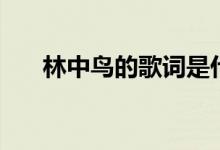 林中鸟的歌词是什么（林中鸟的歌词）