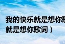 我的快乐就是想你歌词含义是什么（我的快乐就是想你歌词）