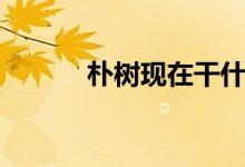 朴树现在干什么（朴树缺钱吗）
