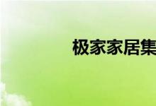 极家家居集团（极家家居）