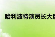 哈利波特演员长大后对比（哈利波特演员）