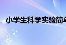 小学生科学实验简单小制作（简单小制作）