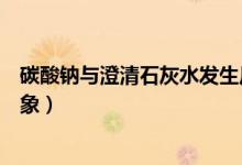 碳酸钠与澄清石灰水发生反应（碳酸钠与澄清石灰水反应现象）
