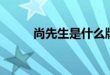 尚先生是什么牌子（尚先生英文）