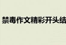 禁毒作文精彩开头结尾（禁毒作文精彩开头）