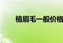 植眉毛一般价格要多少钱（植眉毛）