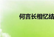 何言长相忆结局（何言长相忆）