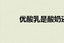 优酸乳是酸奶还是饮料（优酸乳）