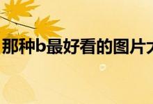 那种b最好看的图片大全（那种b最好看的图）