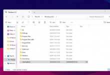 GamingRoot 文件在 Windows 11 上有什么作用